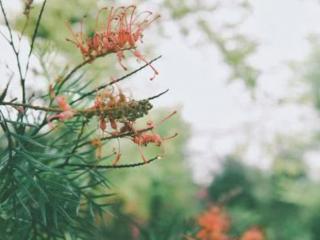 调侃压力大的句子（幽默风趣的搞笑句子）