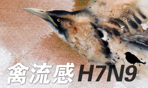 H7N9疫情的最新动态如何？