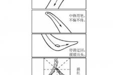 关于语文的作文（全国新高考Ⅱ卷语文作文来了）