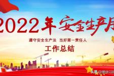 安全月活动总结（2022年安全生产月活动总结）